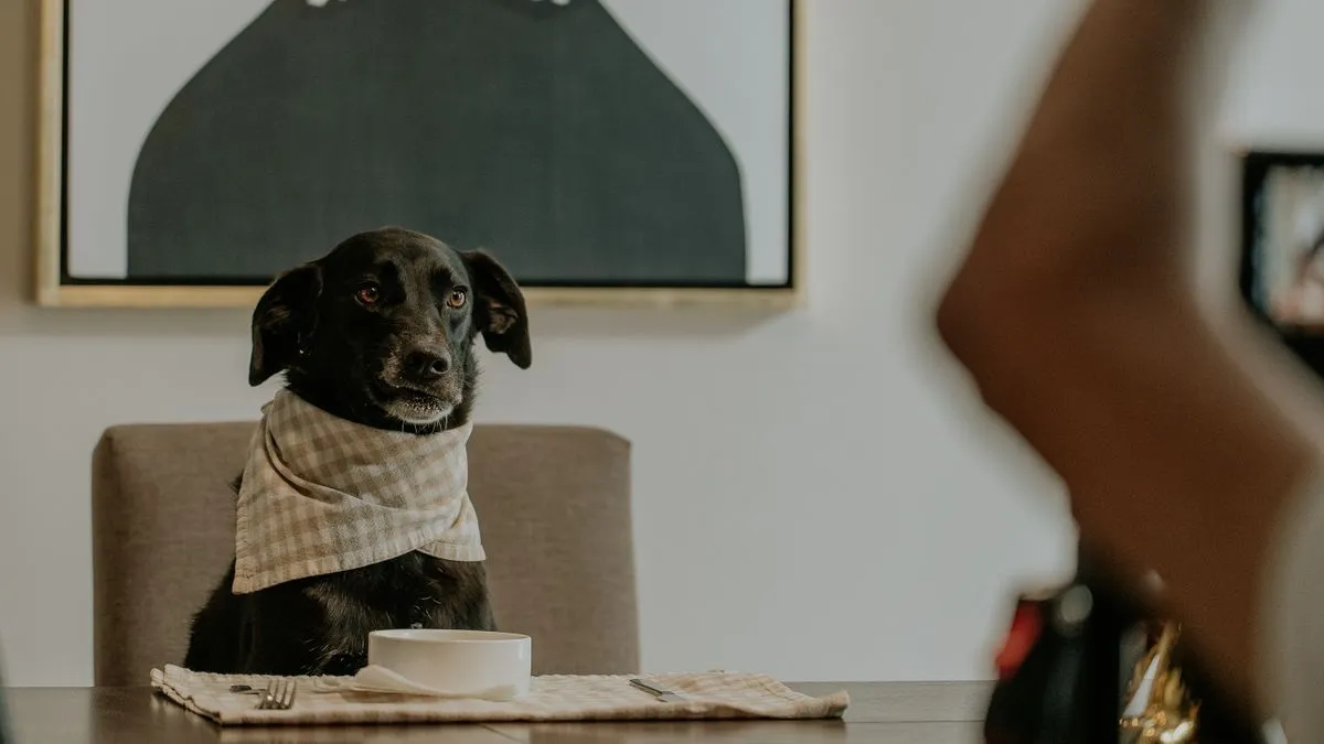 Alimentos prohibidos para perros (lista completa)