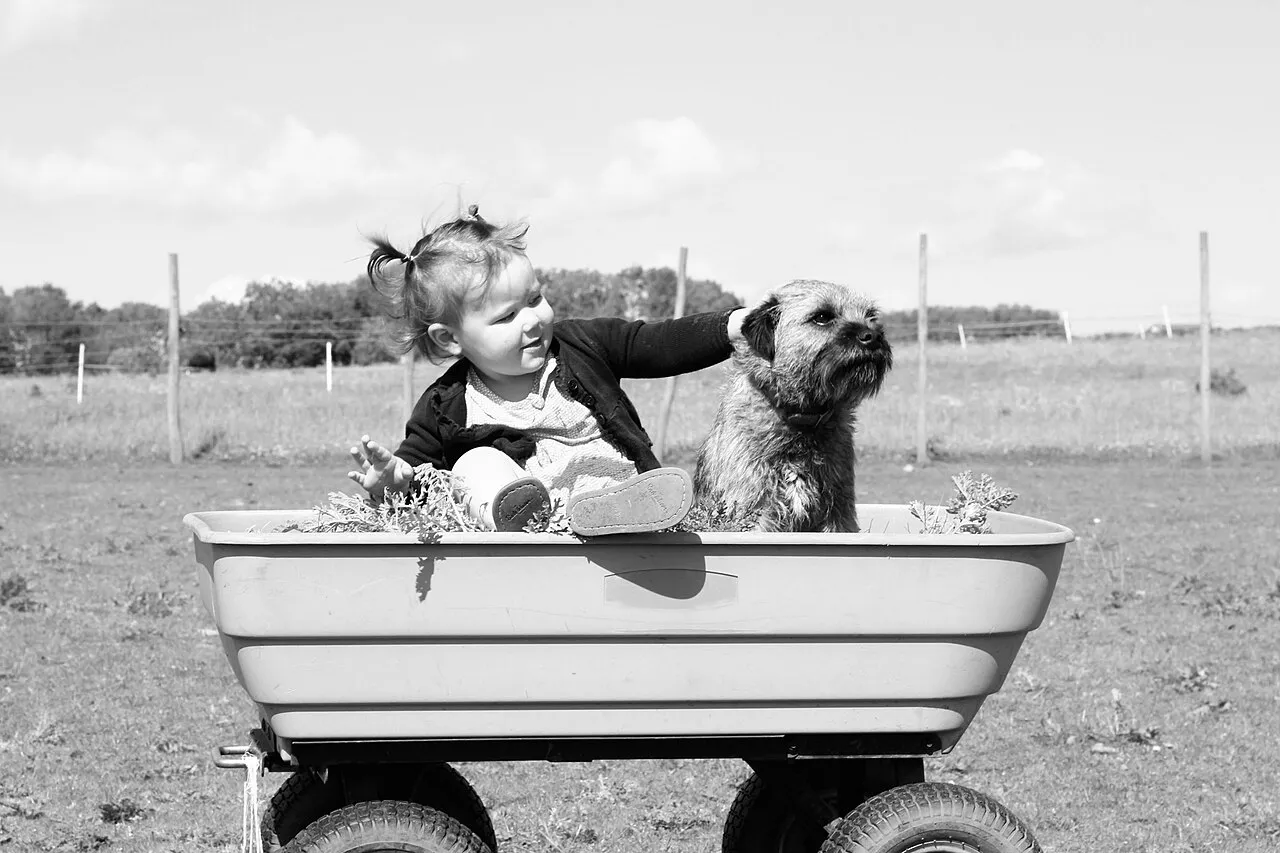 Bebé y mascota en casa: cómo preparar a tu perro o gato