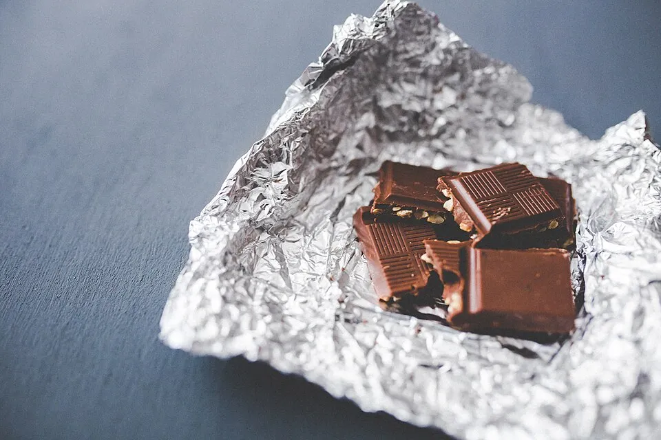 ¿Mi perro comió chocolate?