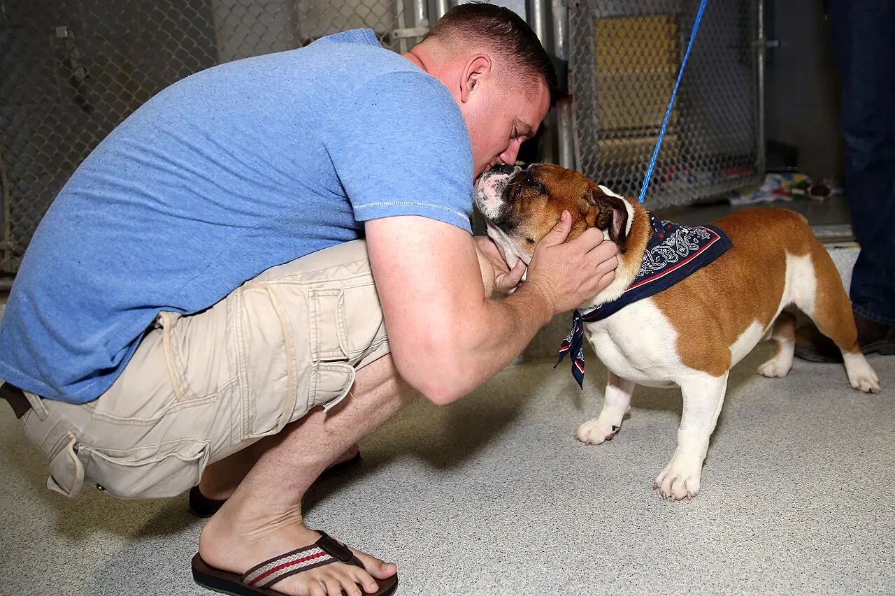 Hombre abraza con cariño a un perro bulldog recién adoptado en las instalaciones de un refugio