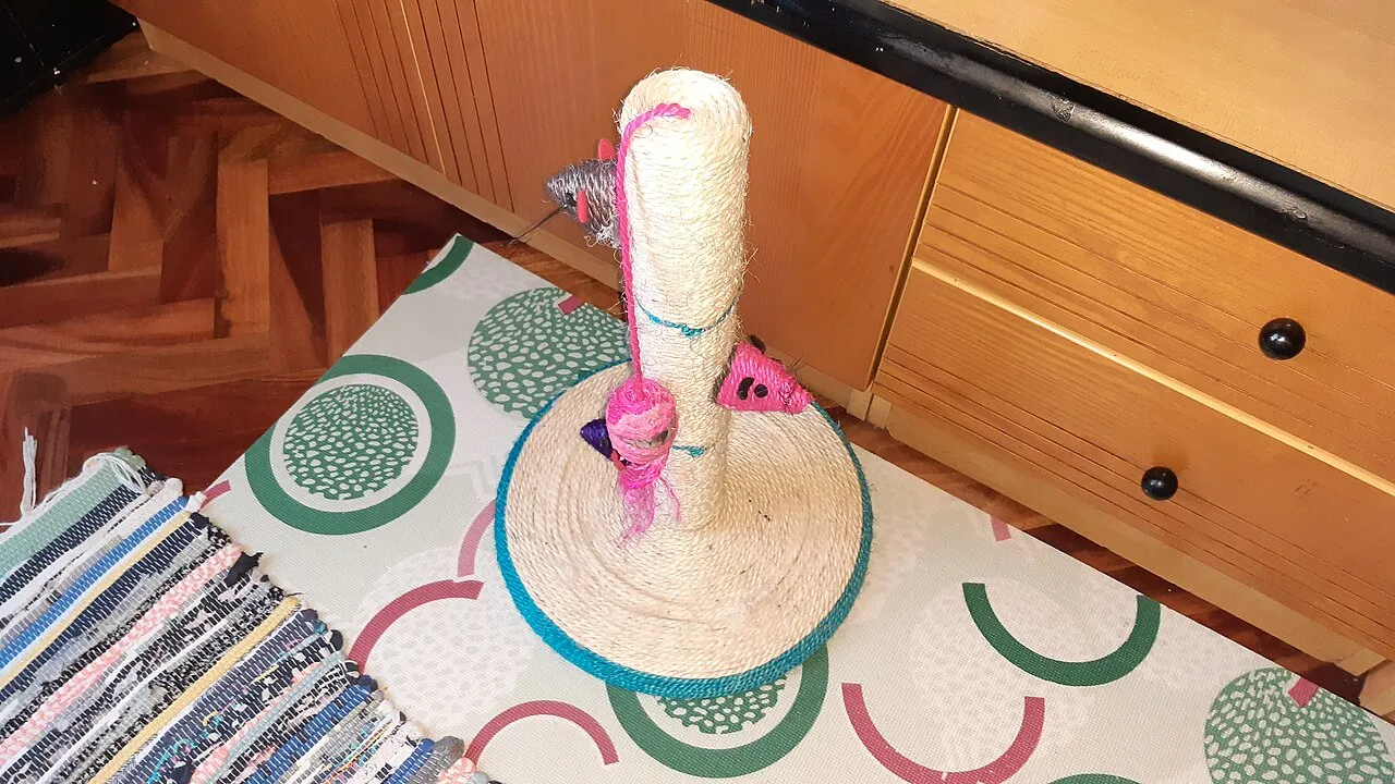 Cómo elegir un rascador que tu gato sí use