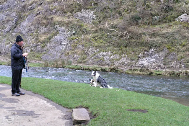 Persona entrenando el recall de su perro junto a un río en un parque