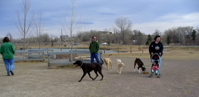 Varios perros y sus dueños conviviendo en un parque canino cercado