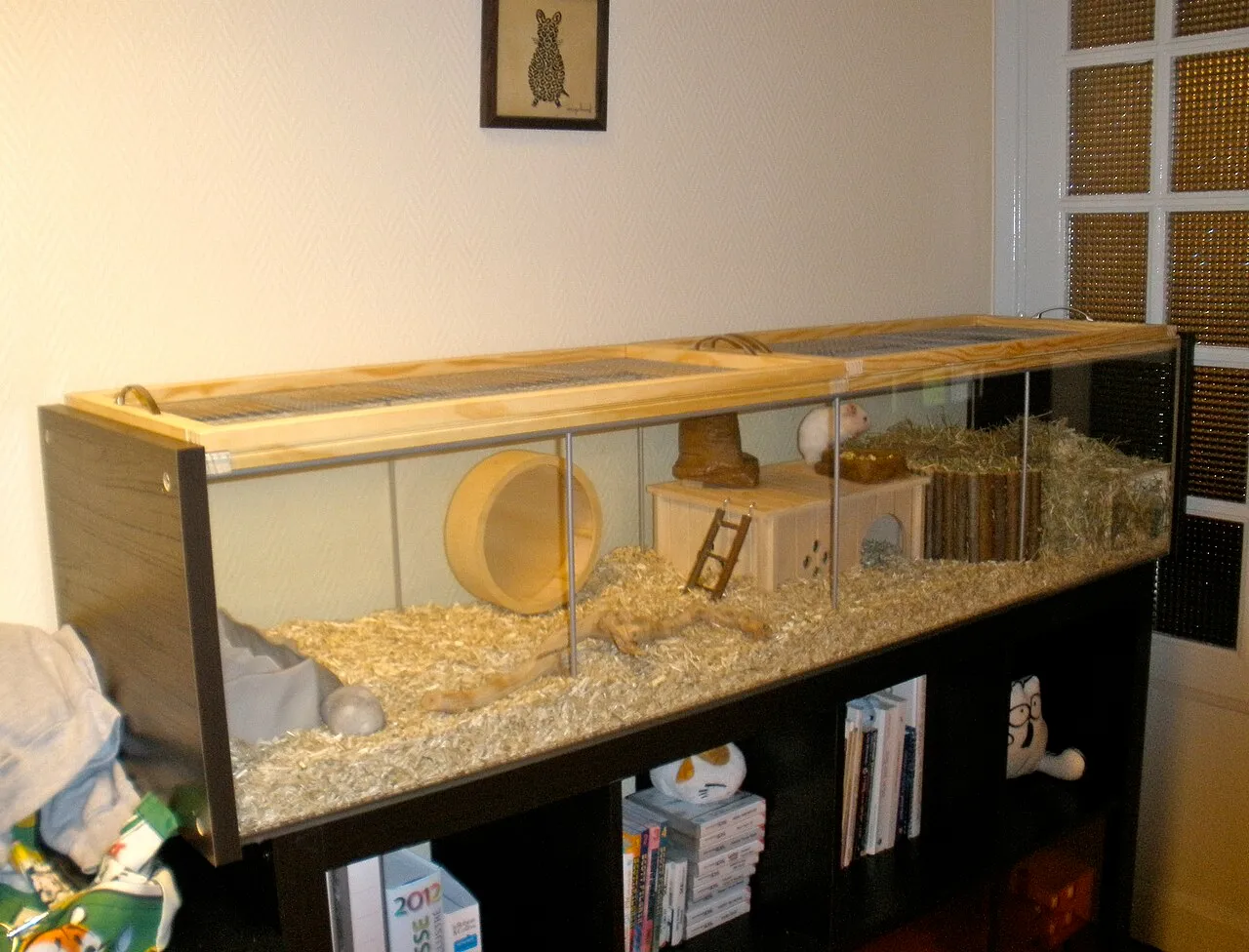 Terrario amplio para hámster con rueda, escondites de madera y lecho de viruta
