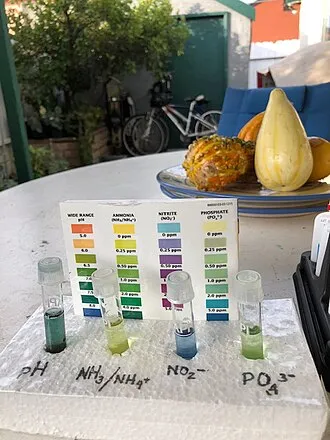Parámetros del agua del acuario: pH, amoniaco, nitritos y nitratos