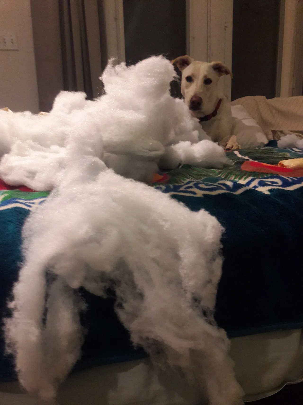 Perro tranquilo sobre la cama rodeado del relleno de un cojín que acaba de destrozar