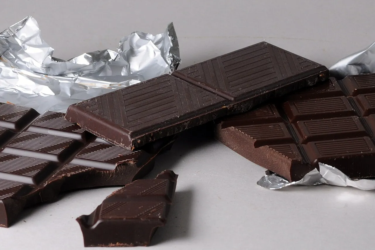 ¿Los gatos pueden comer chocolate?