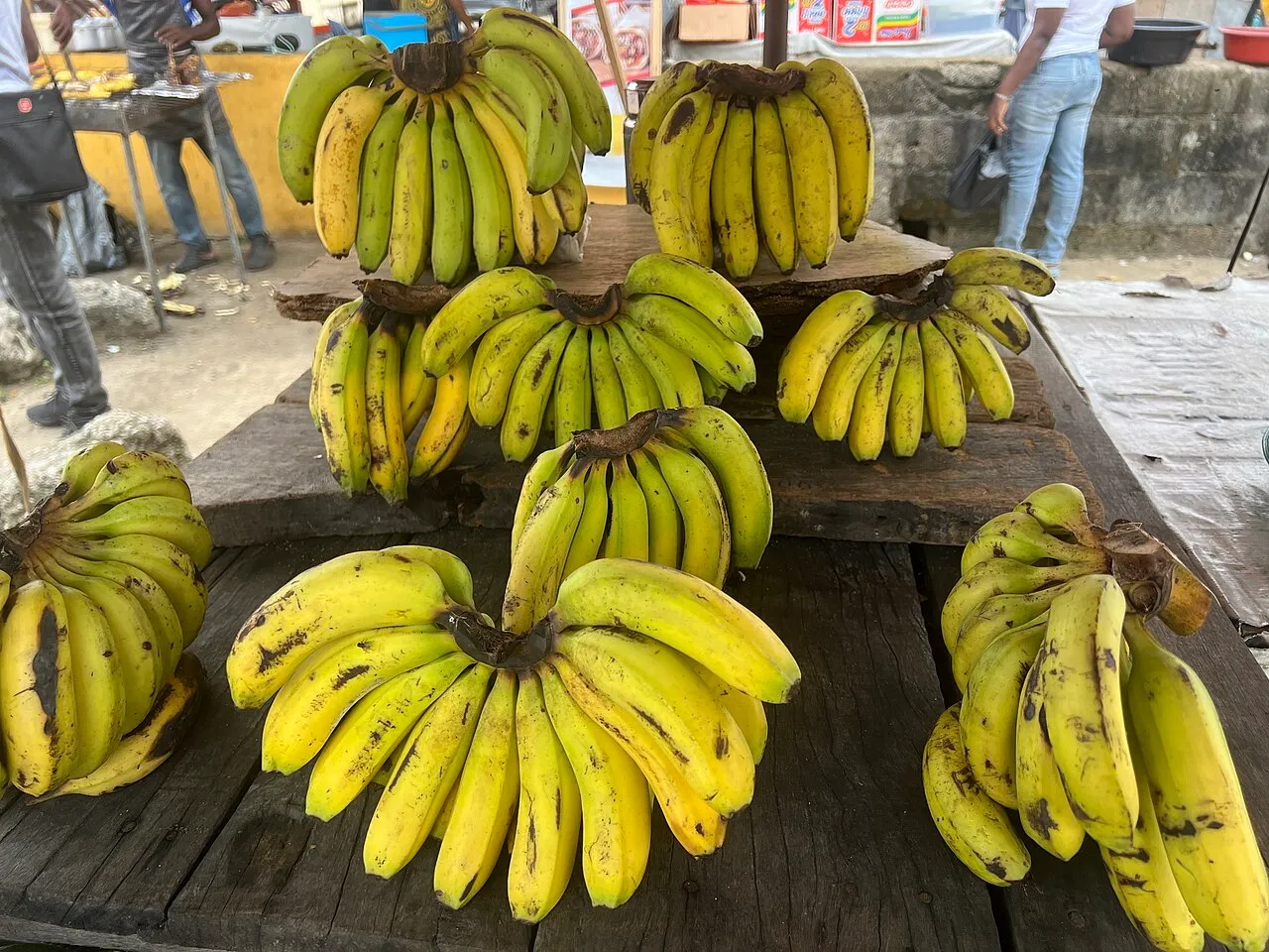 Racimos de plátanos maduros amarillos apilados sobre una mesa de madera en un mercado